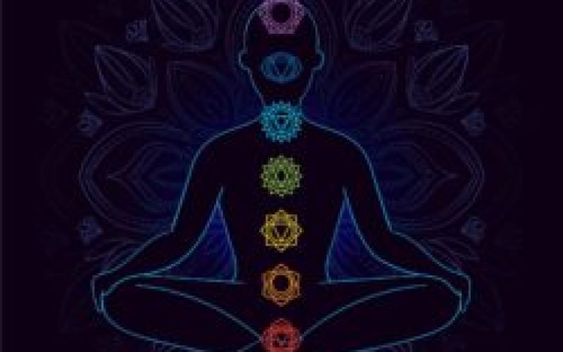 Emoções e o Reflexo do Bem-Estar.