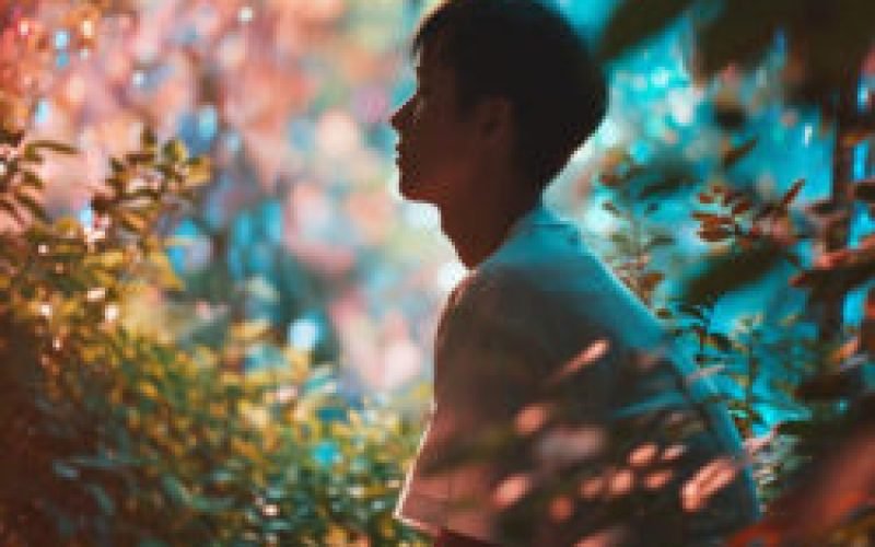 O Sentido da Vida em Reflexão