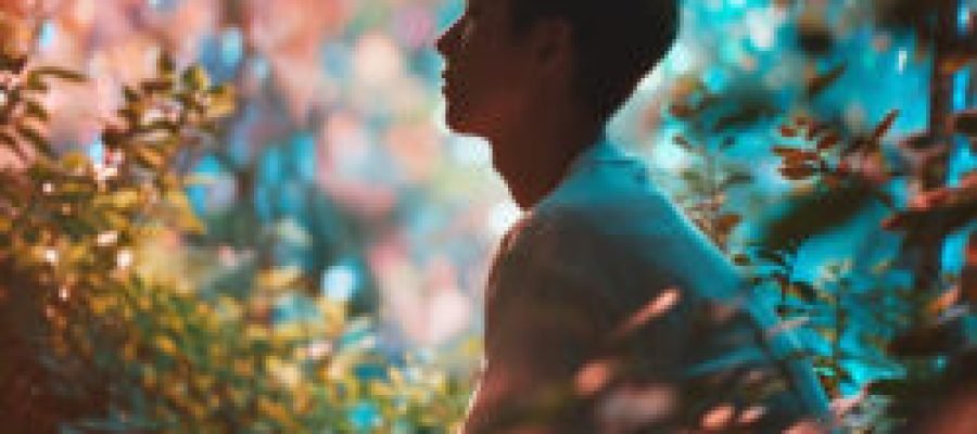 O Sentido da Vida em Reflexão