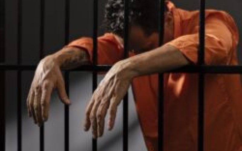 A Verdadeira Liberdade: Entre a Razão, a Ética e o Amor.