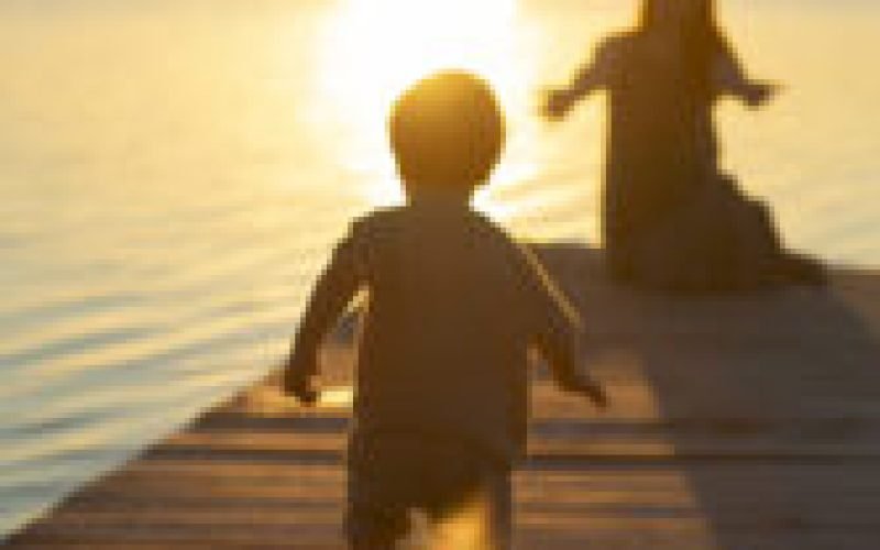 A Busca pelo Sentido da Vida.