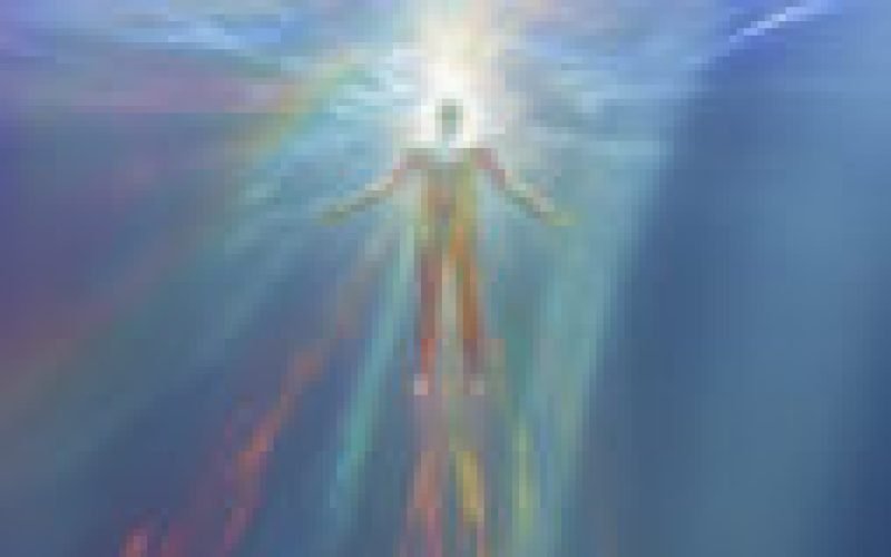 A Interconexão entre Mente, Corpo e Conduta